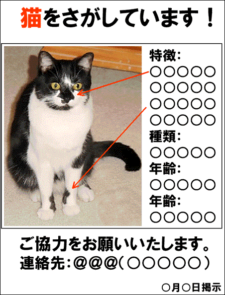 ƏoL{̏񋟗pc[